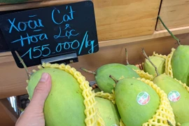 Vì sao xoài cát Hòa Lộc rớt giá còn 30.000 đồng/kg?