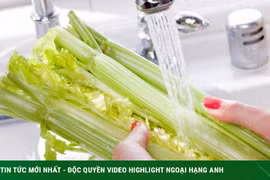 4 lời khuyên để rửa rau củ và trái cây an toàn hơn