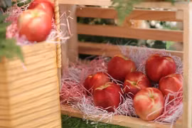 Đào và xuân đào Australia nổi tiếng thế giới đã đến thị trường Việt Nam