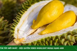 7 thực phẩm không nên ăn cùng sầu riêng