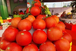 Bưởi đỏ như son có giá 150 nghìn đồng/quả xuống phố