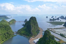 Lấp vùng đệm vịnh Hạ Long làm biệt thự, Cục trưởng Cục Di sản văn hóa nói gì?