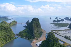 Lấp vùng đệm vịnh Hạ Long làm biệt thự, Cục trưởng Cục Di sản văn hóa nói gì?