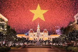 Giới trẻ thích thú chiêm ngưỡng pháo hoa "ảo" tại Việt Nam