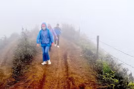 Tà Xùa, xứ sở trong sương