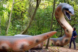 Những loài động vật thời tiền sử khổng lồ đáng kinh ngạc