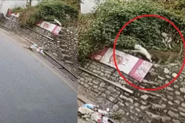 Video: Báo vào thành phố bắt trộm chó của dân 