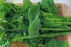 2 loại rau này có khả năng gây ung thư cao