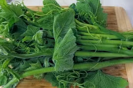 2 loại rau này có khả năng gây ung thư cao