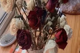 Không giữ 3 thứ này, phú quý kéo đến không ngừng nghỉ