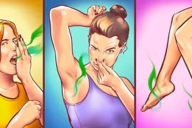 3 loại lá càng dùng cơ thể càng thơm