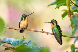 Tháng "củ mật", 3 con giáp không thiếu tiền tiêu, rạo rực đón Tết