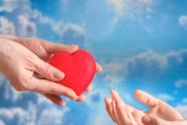 6 điều cần thấu hiểu trong cuộc đời để may mắn nhân đôi