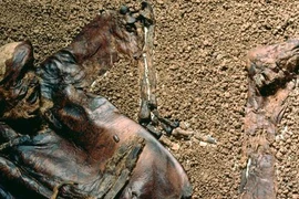 Xác ướp 2000 năm nguyên vẹn hé lộ lễ hiến tế rùng rợn