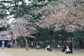 Lý do người Việt đổ xô đi du lịch nước ngoài