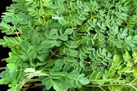 Loại rau giàu canxi gấp 4 lần sữa, vitamin C gấp 7 lần cam