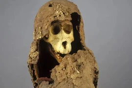 Xác ướp quái dị tiết lộ vương quốc huyền bí ẩn mình giữa Ai Cập 