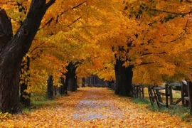 Sự thật thú vị sau loạt hình ảnh ai nhìn cũng thấy quen