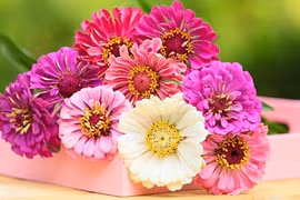 Người sinh vào 4 tháng Âm lịch này định sẵn giàu sang