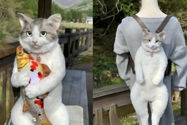 Tại sao món đồ này của bà nội trợ tuy đắt nhưng gây bão?