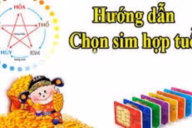 Chọn số điện thoại hợp tuổi, hợp mệnh cho 12 con giáp để hút tài