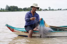Chơi vơi mùa nước nổi: Đồng Tháp Mười đói tôm, cá