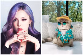 Giữa tháng 10/2022: Cát Tinh chiếu rọi, điểm danh 4 tuổi tiền về ào ạt