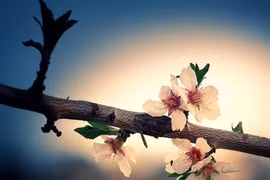 Trong giao tiếp, có bốn hành vi rất 'rẻ tiền' nên tránh 