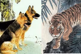 Ba tháng tới, tài vận của 4 con giáp tăng vọt, của nả đầy tay