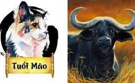 Cuối tuần (22-23/10): 4 con giáp khó thoát vận xui, tiền bạc tiêu tán 