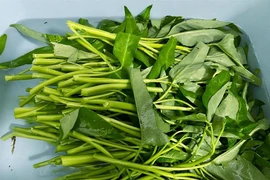 3 loại rau quen thuộc quá nhiều ký sinh trùng