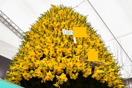 Chậu lan phú quý 3.686 cành, trị giá 1,686 tỷ ở HN