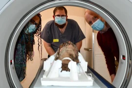 Dọn gác mái, phát hiện chiếc đầu người 2.000 năm vẫn nguyên vẹn