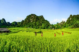 Chơi đâu, ăn gì khi khám phá Điện Biên?