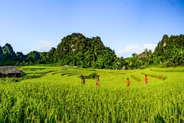 Chơi đâu, ăn gì khi khám phá Điện Biên?