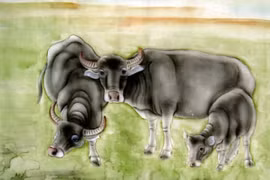 3 con giáp cuối tháng 9 âm đổi vận, tháng 10 âm phát tài