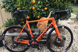 Cảm xúc của bạn ảnh hưởng thế nào bởi màu sắc đồ vật?