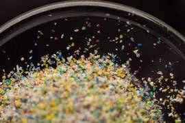 Phát hiện vi nhựa trong các mẫu tinh hoàn nam giới được thử nghiệm