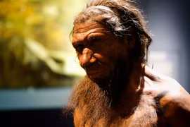 Đức: Lộ diện lò hắc ín 200.000 năm, người khác loài điều hành