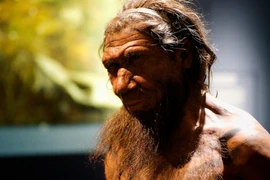 Đức: Lộ diện lò hắc ín 200.000 năm, người khác loài điều hành