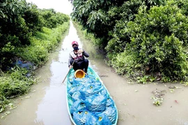 Hạnh là cây gì mà chỉ trồng 5ha, lời 1 tỷ đồng/năm?