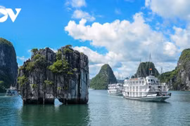 Hai điểm đến Việt Nam trong top thịnh hành nhất thế giới