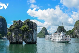 Hai điểm đến Việt Nam trong top thịnh hành nhất thế giới