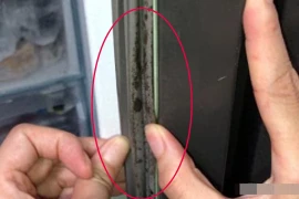Gioăng tủ lạnh bị mốc, đen? Cách làm sạch dễ dàng trong 3 phút