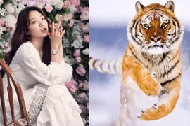 4 tuổi mang túi ba gang đón vàng vào cửa 90 ngày đầu năm 2024