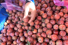 Mận hậu đổ bộ Sài thành, giá cả "loạn cào cào"