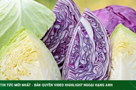 7 nhóm người này được khuyến cáo không nên ăn bắp cải