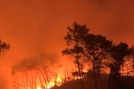 Diễn biến mới nhất vụ cháy rừng ở Nghệ An