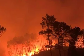 Diễn biến mới nhất vụ cháy rừng ở Nghệ An