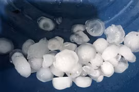 Nhanh chóng khắc phục hậu quả do mưa đá ở huyện miền núi Nghệ An